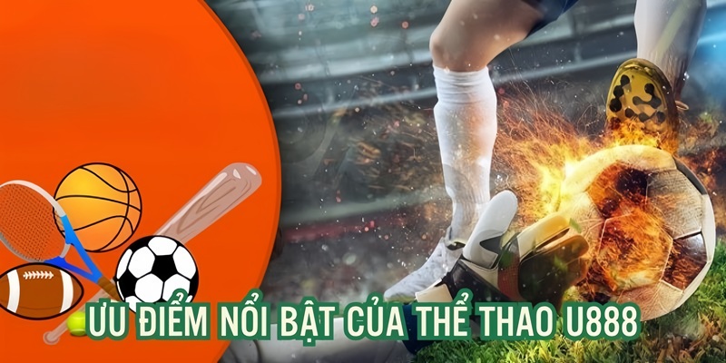 Ưu điểm thu hút người tham gia của sảnh cược