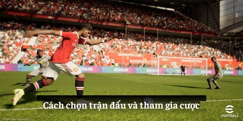 Cách chọn trận đấu và tham gia cược