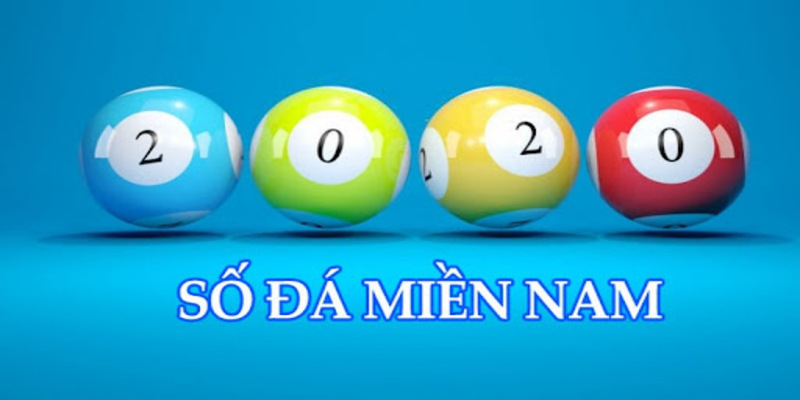 Những thông tin cần khái quát về loại hình số đá năm 2025