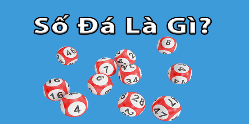 Số đá chia sẻ kinh nghiệm soi cầu năm 2025